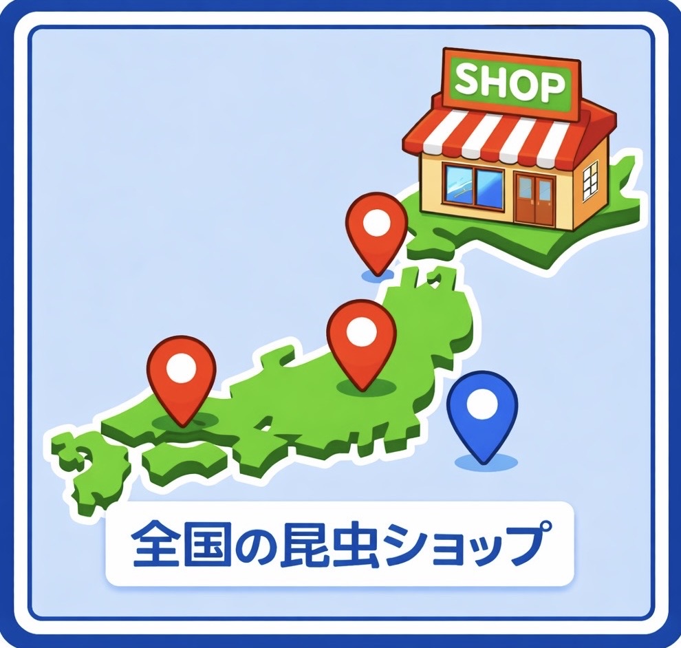 昆虫ショップ